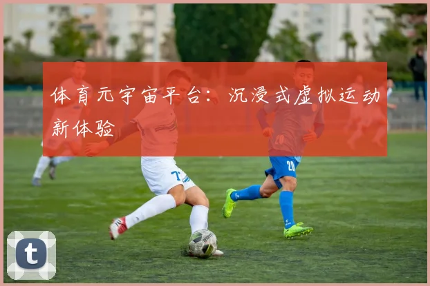 体育元宇宙平台：沉浸式虚拟运动新体验