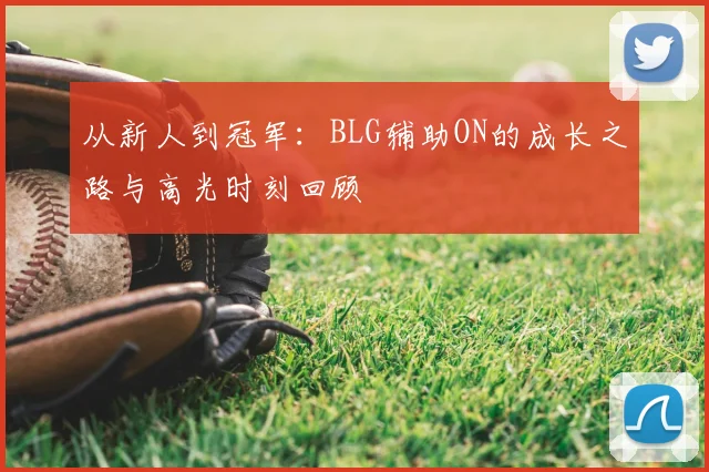 从新人到冠军：BLG辅助ON的成长之路与高光时刻回顾
